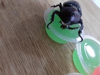 20210821_094436.jpg