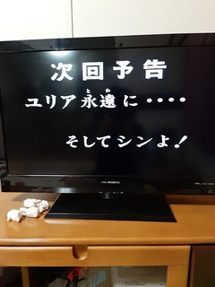 20210906_181800.jpg