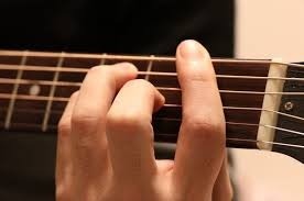 ダウンロード (12).jpg