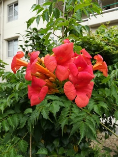 IMG_20200628_141942.jpg